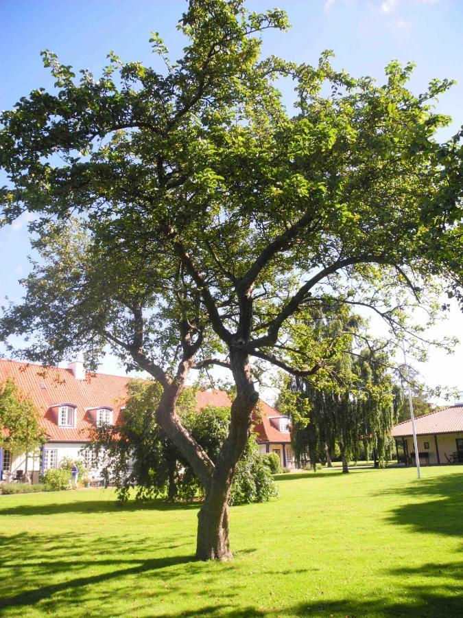 Inspiration Center Denmark, Bed & Breakfast Maribo Zewnętrze zdjęcie