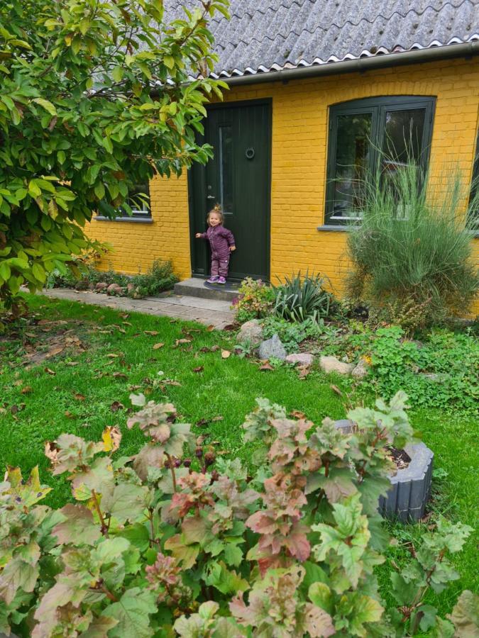 Inspiration Center Denmark, Bed & Breakfast Maribo Zewnętrze zdjęcie